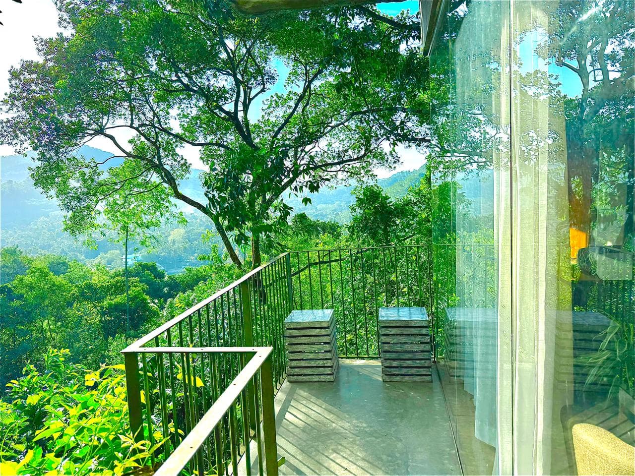 Deluxe Family Villa view 7