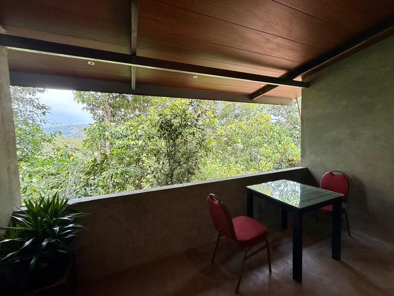 Double Deluxe (Balcony) view 3