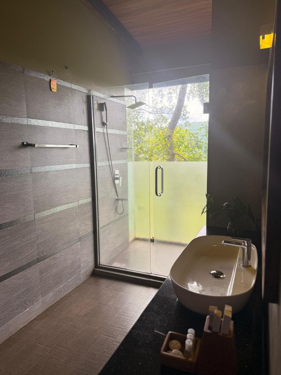 Super Deluxe Family Villa view 4